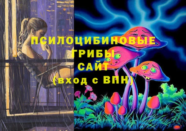2c-b Алексин
