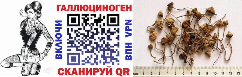 Псилоцибиновые грибы прущие грибы  продажа наркотиков  Новая Ляля 
